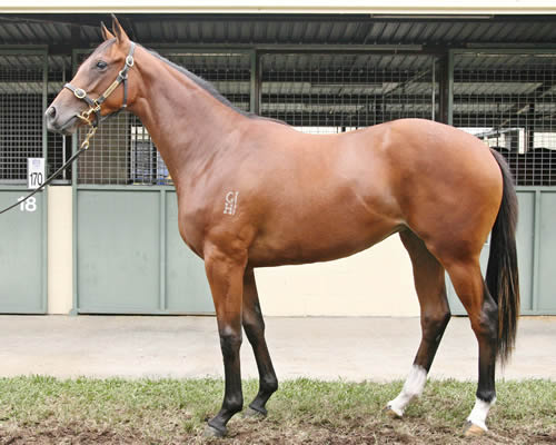General Nediym Filly